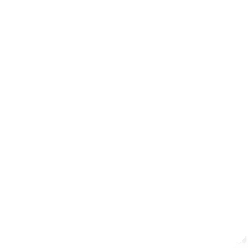 loader image